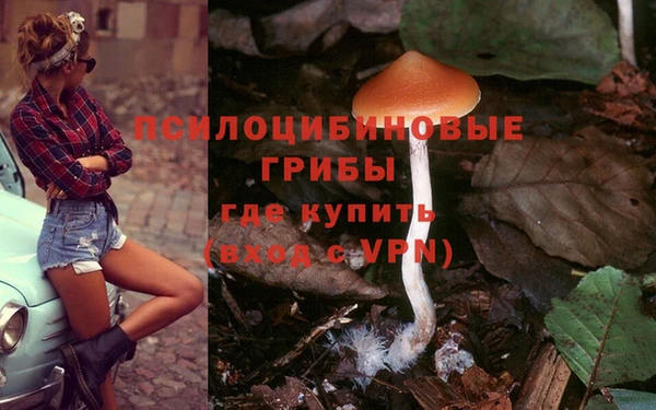 марихуана Баксан