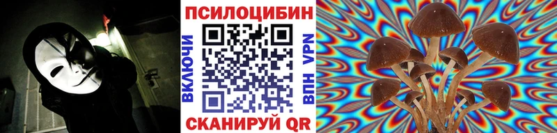 цены   Власиха  Псилоцибиновые грибы MAGIC MUSHROOMS 